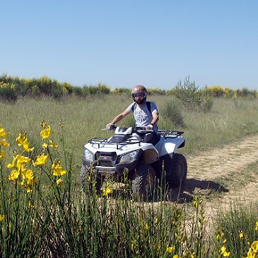 Randonnée en Quad près d'Avignon — quad à Uzès